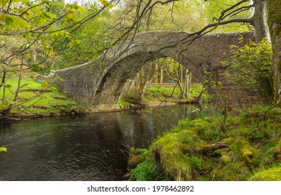 The River Swale in Springtime flowing beneath Ivelet Bridge just as the trees as bursting into leaf and the remaining daffodils on the banking.  Gunnerside, UK.  Space for copy. - Shutterstock ID 1978462892