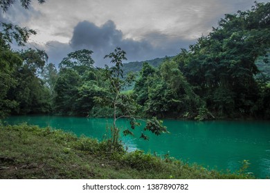 Dzungle Ve Vietnamu Stock Fotografie Shutterstock