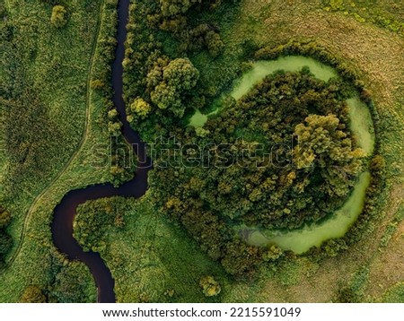 River Tanew and oxbow lake - view from drone - August 2020, Poland