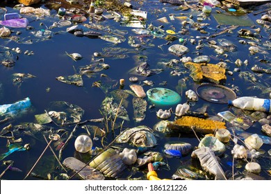 River That Is Polluted With Various Garbage And Trash, Polluted Rivers, Photography