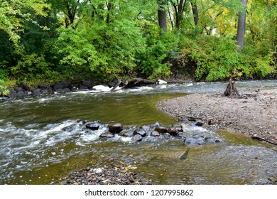 River through the forest