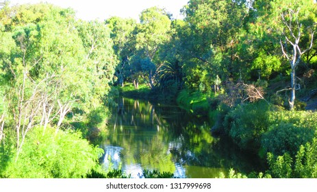 River Torrens Linear Park In Adelaide, Australia