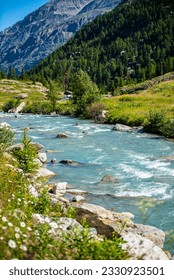 River Torrente Savara in Valsavarenche Valley, Aosta, Grand Paradiso National Park, Italy