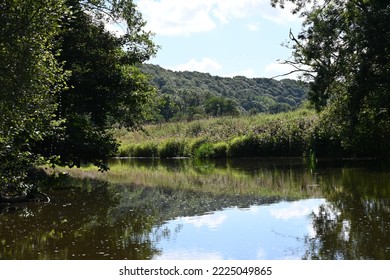 River Torridge At Halsdon On An Autumn Day