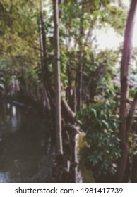 river and tree background with blur effect