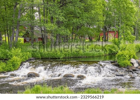 River in a tree grove in the countryside
