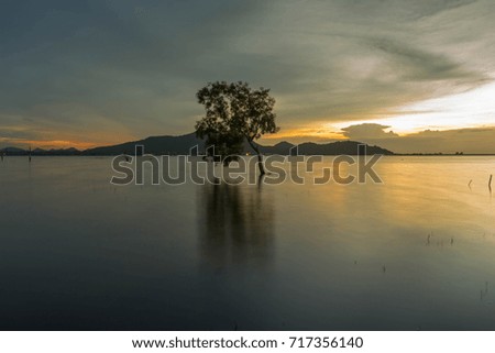 River tree sky