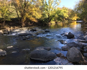 River with trees