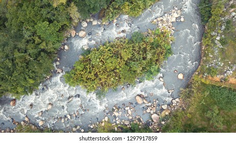River and Trees