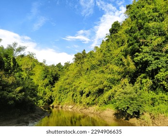 
A river with trees around it