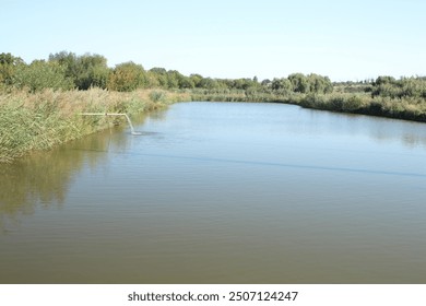 A river with trees on the side