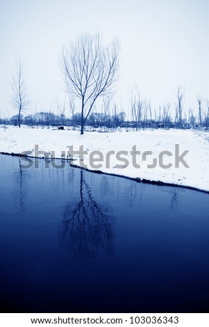 Similar – Foto Bild Winterzauber Landschaft