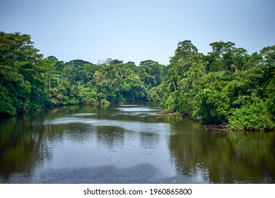 River In The Tropical Rainforest Of Central Africa