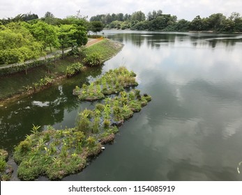 River, Tropics, Punggol Waterway, Singapore