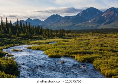 River In  Tundra Of Alaska