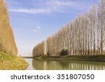 River with two rows of trees on the shore