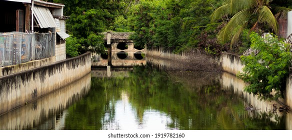 River Under Bridge Surrounded By Green Trees