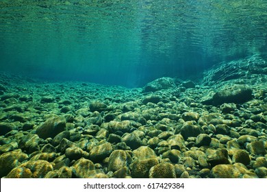 River underwater,  pebbles on the riverbed with clear water, natural scene, Dumbea, New Caledonia, south Pacific - Shutterstock ID 617429384