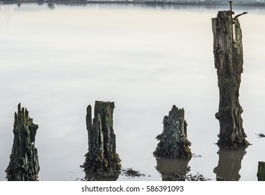 River view