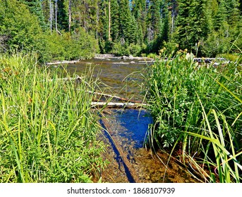 Up The River - A View Along The Upper Section Of The Deschutes River - Cascade Range - West Of Sunriver, OR