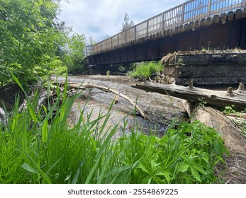 River View With Bridge And Log 