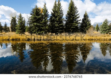 river view, lake view, tree reflection, cattails by water, hands forming heart around mountains