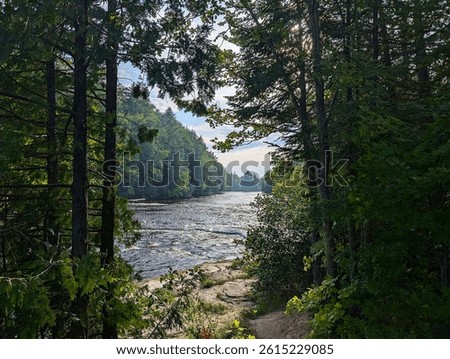 River View from the Woods