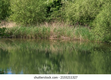 River Views Lee Valley Park