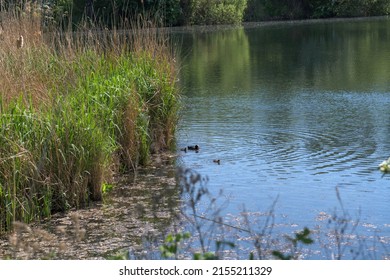 River Views Lee Valley Park