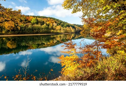 River water in the autumn forest. Autumn river water reflection - Powered by Shutterstock