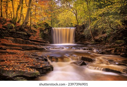 River waterfall in autumn forest. A beautiful waterfall in the autumn forest. Autumn forest waterfall landscape. Forest waterfall in autumn - Powered by Shutterstock