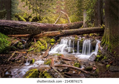 River Waterfall In Forest Scene