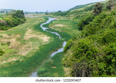 River Waters Winding Through Tropical Green Grass Tree Vegetation Towards Lagoon With Distant Ocean Coastline Overhead View Of Landscape.