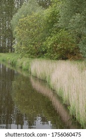 The River Waveney In East Anglia