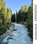 River in Whistler, BC, Canada, during the morning, July 2024