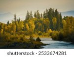 A river winding through a forest in Grand Teton National Park at sunset in Teton County, Wyoming, USA