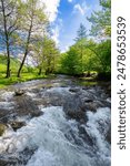 river winding through forested scenery in morning light. trees on the grassy shore. stones in rapid water stream. carpathian mountain landscape of ukraine in summer