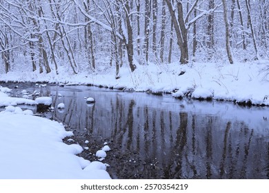 river in the winter forest