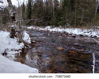the river in the winter forest