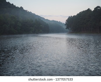

The river in the winter mist