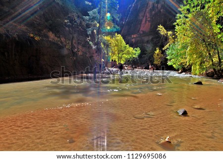 The river in zion, deathvalley,usa,The most popular and scenery trail in Zion.
amazing place national park in USA.
