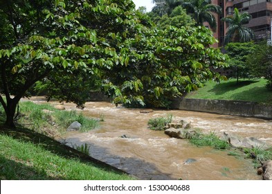 Rivera Del Rio Cali, Colombia Wide Vegetation