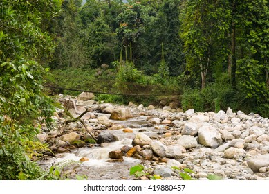 Riverbed With Bridge In Ruwenzori Mountains, Uganda