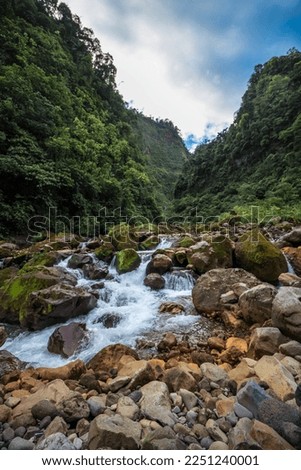 riverbed in the middle of the mountains and tropical jungle