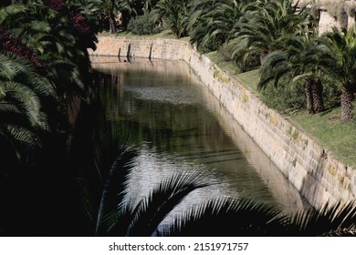 Riverbed with water from the "Sa Riera" torrent, in Palma (Majorca), surrounded by numerous palm trees.