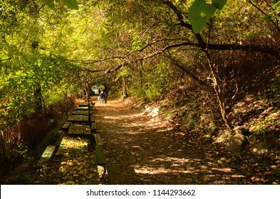 Riverdale Farm Toronto