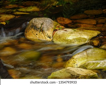 Riverine View. Forest Stream. Garden Route. Western Cape. South Africa.