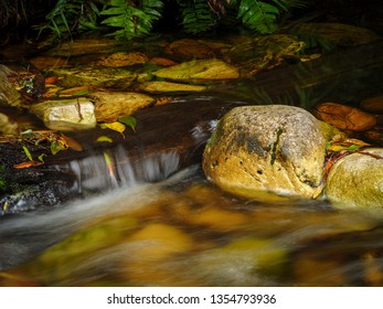 Riverine View. Forest Stream. Garden Route. Western Cape. South Africa.