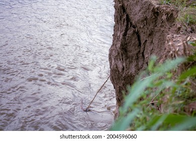 Rivers Of Bangladesh. Broken River Bank.