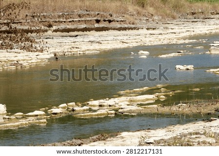 Rivers shrinking and drying up, revealing their rocky beds, is a common occurrence in the Gunungkidul region during the dry season.